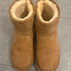 Classic mini chestnut uggs